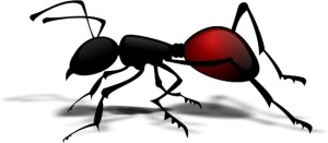 The ant as your power totem animal,power totem animal